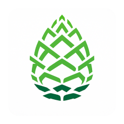 PineCone Research (IT) 18+ yo