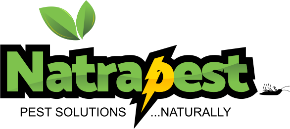 Natrapest
