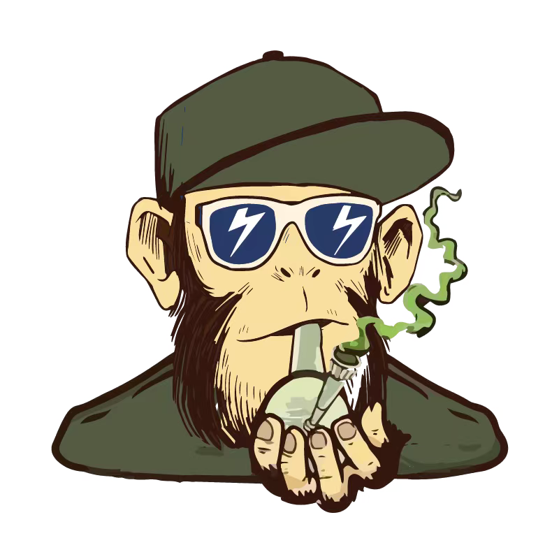 Bongaily Online Headshop Store