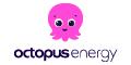 Octopus Energy IT CPA