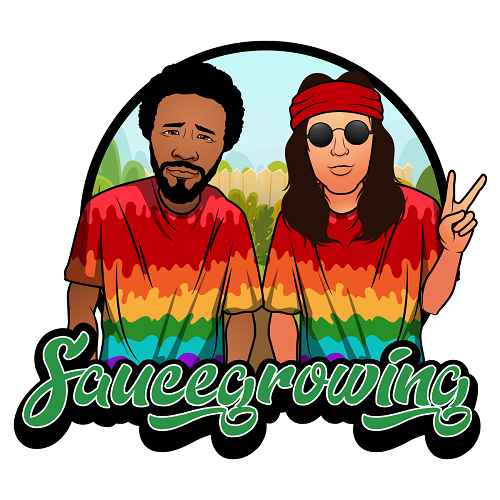 saucegrowing