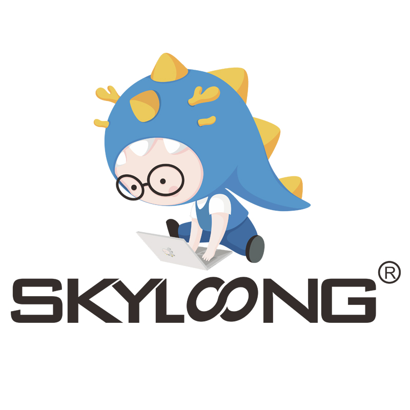 SKYLOONG