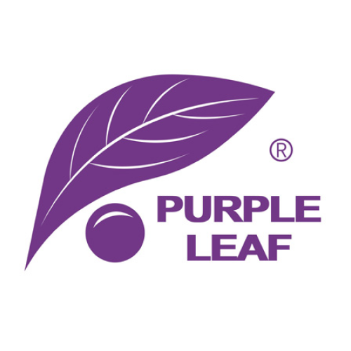 Purple Leaf IT