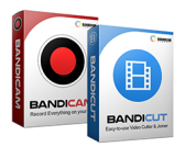 BANDICAM COMPANY LLC