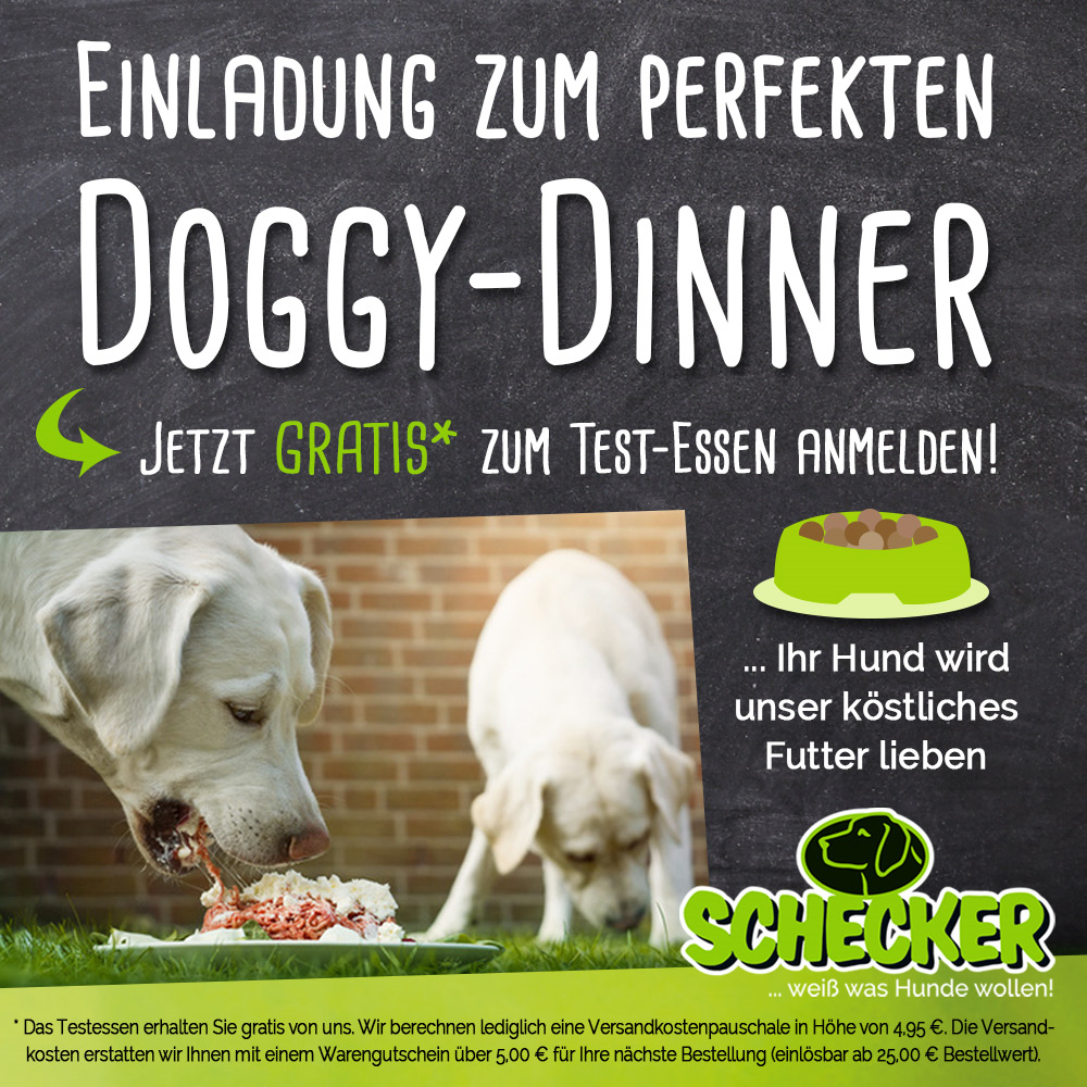 Doggy-dinner.de