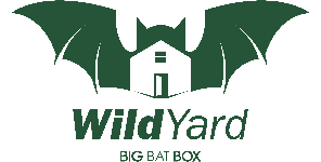 bigbatbox.com