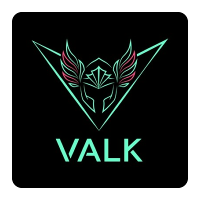 Valk Gaming FR
