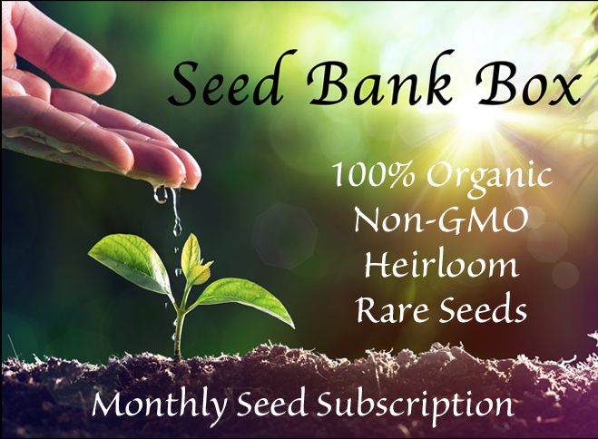 seedbankbox