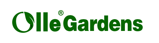 Ollegardens