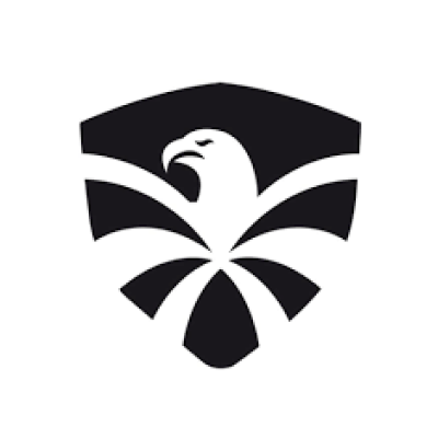 flyingeagleskate.com