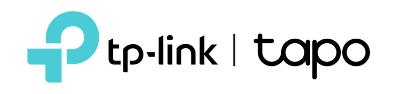 TP-Link Systems Inc