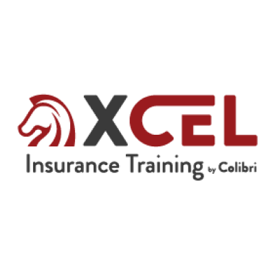 XCEL Solutions