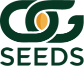 OG Seeds