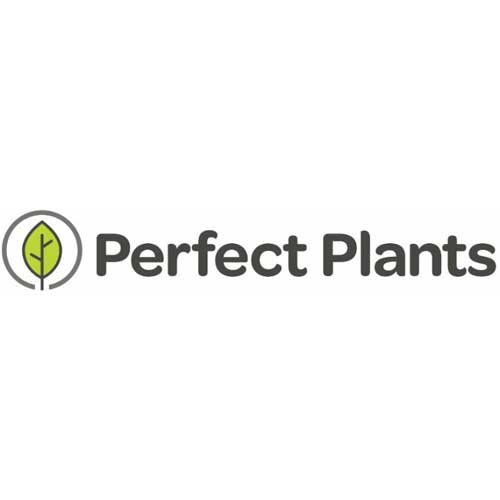 Perfect Plants Nursery