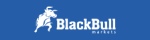 BlackBull Partners