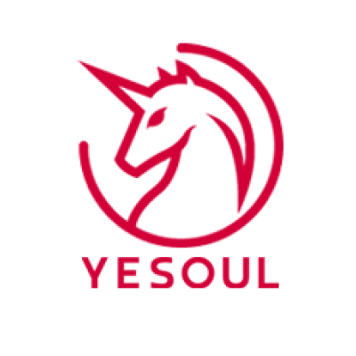 yesoulfitness.com