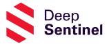 Deep Sentinel Home Security